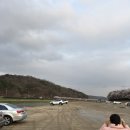 보은푸드 | 보은 벚꽃길 축제 개화상황 및 주요축제일정