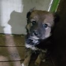 세연중학교 이미지