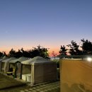 수에듀케이션 주식회사 | 채드윅 국제학교 가을 아웃도어 에듀케이션 후기, 국제학교 아웃도어 교육