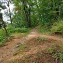 밤나무골샘물 이미지