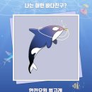 바다친구 이미지