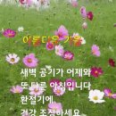 발볼 넓은 50대 운동화 이미지