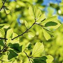 부흥로144번길 이미지