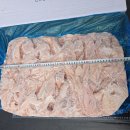 PPS 막창 (스페인산) est 655 이미지