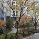 마포더클래시단지내공인중개사사무소 | 마포프레스티지자이 중개사무소 입성기