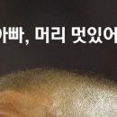 아빌스