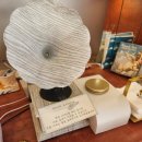 천사 | 제주도 디저트 맛집 추천 천사 카이막 후기!!