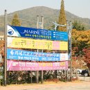 시 지정게시대(가로형 게시대) 이미지