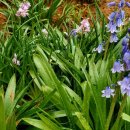 뜨락풍경 이미지