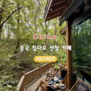 중산공원 | [중국 칭다오 산장 카페] 중산공원 린인서점 북카페 VILYA03 메뉴 추천 및 후기