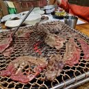 전남도립미술관 화장실 이미지