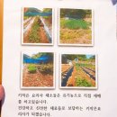 키작은요리사 이미지