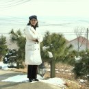 몽돌회