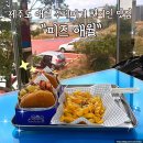 튀김앤도너츠 | 제주도 애월 수제버거 현지인 맛집 피즈버거 다녀온 후기