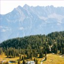 순대만족 이미지