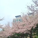 당고개공원앞 이미지