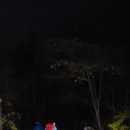 호남정맥4기 10구간 유둔재~무등산~안양산~어림고개(이벤트) 이미지