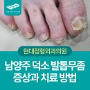 일신정형외과의원 네이버블로그