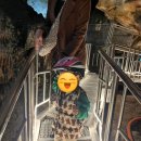 용연사슴농장 이미지