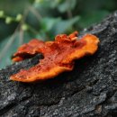 청주청원도서관 이미지