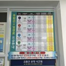 거제 외도 유람선 예약 방법 + 외도 보타니아 방문 후기 꿀팁 정보