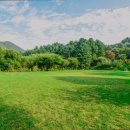 자연속에 둥지펜션 이미지