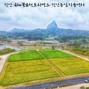 농업기술센터 | 진안 가볼만한곳 유채꽃&amp;청보리명소 농업기술센터