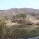 진월중학교 이미지