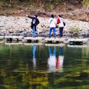 월류봉광장화장실 이미지