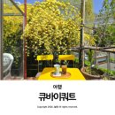건들바위네거리 조형 | 대구 목향장미 명소 카페 큐바이쿼트 데이트 가볼 만한 곳 추천 주차 정보
