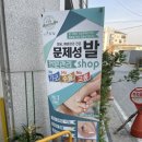 네일도 보나 이미지