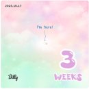 보성제일병원 | [임신 3~6주 차] 주차별 증상, 임신 어플, 임밍아웃, 아기집 확인, 배아&amp;난황 확인, 임신 초기 영양제...