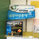 대림약국 이미지