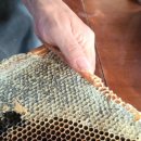 정호진농장 이미지