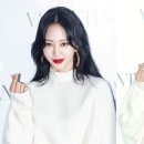 레드립엔터테인먼트 이미지