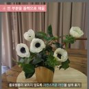 오래꽃센터 이미지