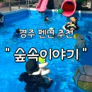 경주숲속펜션 | 경주 가성비 수영장 펜션 추천 숲속이야기