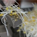 메밀의정석 이미지