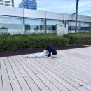 히사이시조 영화음악 콘서트 2024 안동 앙코르 | 스페셜 포토덤프 Photo dump 히사이시 조 영화음악 콘서트 2024 오케스트라 후기