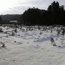 토산농장 이미지