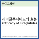 주식회사 리라로 이미지