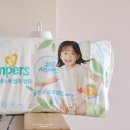 (주)글로벌라인 | 팸퍼스 아기 여름 팬티기저귀 샘플 후기