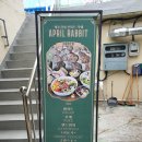 사월의토끼 이미지