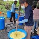 [실천학교] 유기농의 모든것 이미지