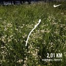 대진방앗간 | [도약일기] 11. 행복 가득 여름🌿