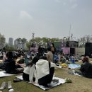 룰루랄라헤어리듬 | [festival] 20대 여자 혼자 핸드 페스티벌 가면 생기는 일..😎 HAVE A NICE DAY 페스티벌