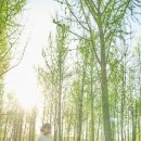 모노크롬스튜디오 이미지