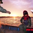 마량 5일시장 이미지