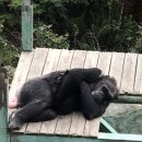 포레스트벨리캠프 이미지