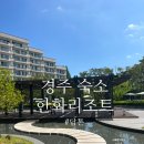 한화호텔&리조트/경주 휴양콘도미니엄(에톤) | 경주 아이랑 숙소 :: 한화리조트 담톤 디럭스모던 호텔형 리모델링 후기